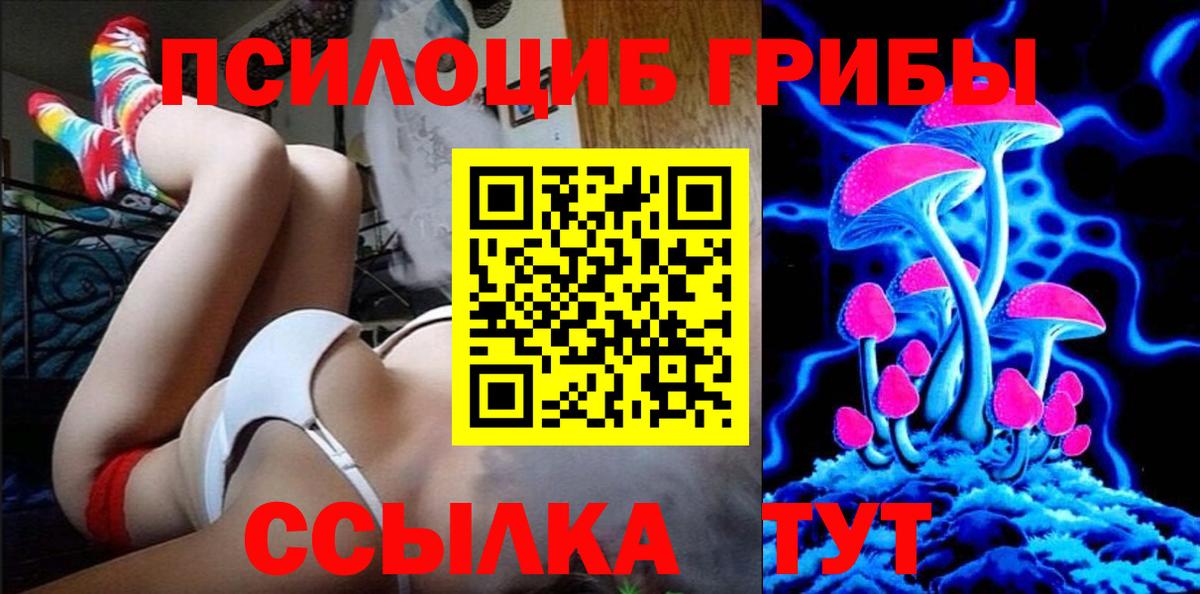 Псилоцибиновые грибы Cubensis Барнаул