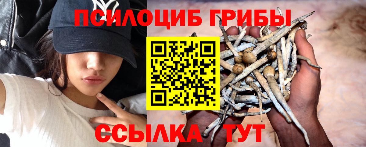 Галлюциногенные грибы Magic Shrooms  Вход с VPN  дарнет шоп  Барнаул 
